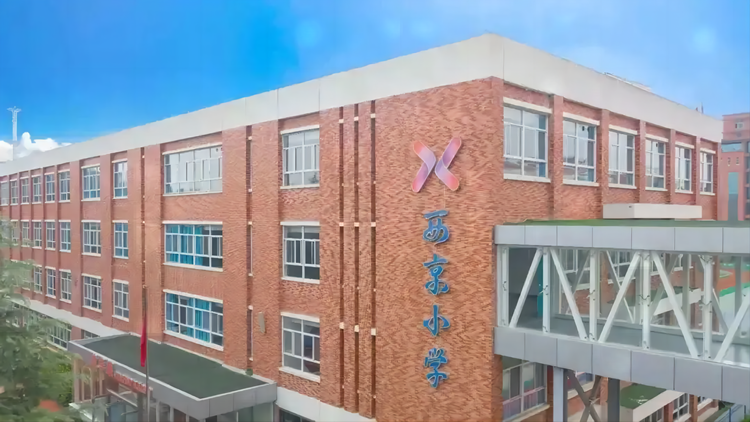 西京小学教师招聘公告”