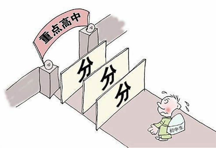 中考备考中的团队协作：如何与同学共同进步