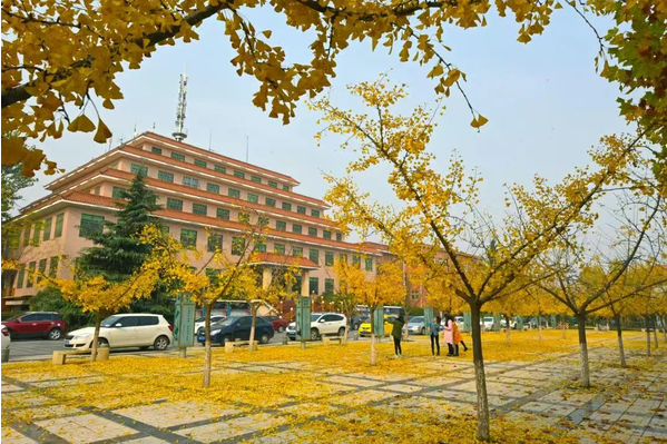 喜报!西京学院荣膺“陕西省2025年高等教育教学成果奖”特等奖!